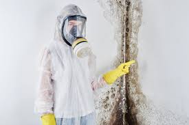 Best Mold Removal for HVAC Installations in Hallowell, ME